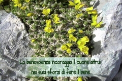 La benevolenza