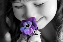 La gratitudine (2)