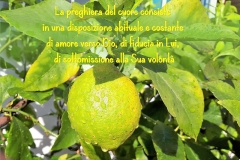 La preghiera...