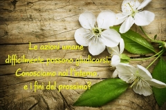 Le azioni...