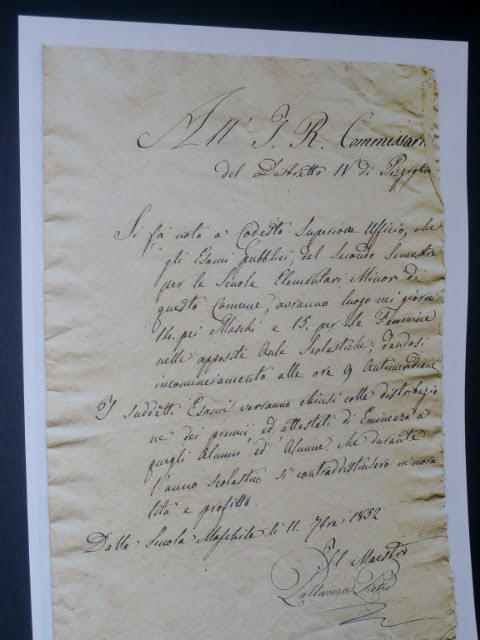 P1020734 (480x640)